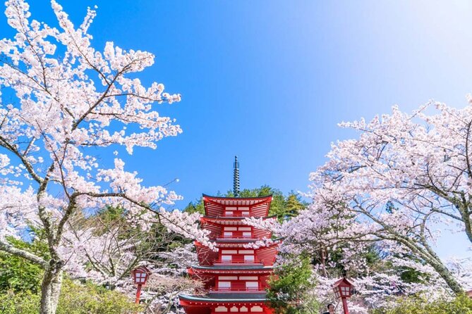 Mt. Fuji 5th, Oshino Hakkai, Onsen Full-Day Trip From Tokyo - Choosing between Konohananoyu and Gotemba