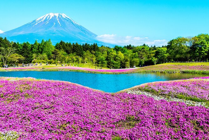 Mt. Fuji 5th, Oshino Hakkai, Onsen Full-Day Trip From Tokyo - The 40-minute stop at Mt. Fuji 5th Station