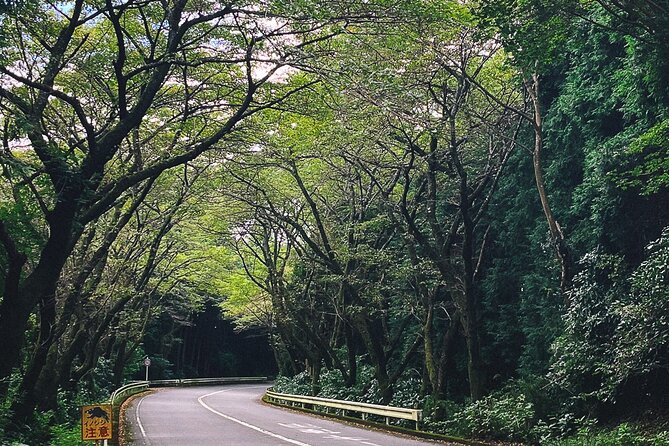 Mt. Fuji, Hakone Private Tour from Tokyo - Onsen, Arts and Nature - The Ashinoko Skyline if time allows