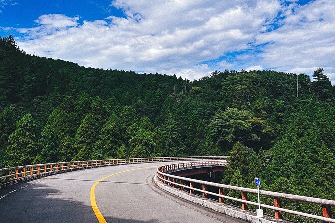Mt. Fuji, Hakone Private Tour from Tokyo - Onsen, Arts and Nature - What the $852.28 price buys you
