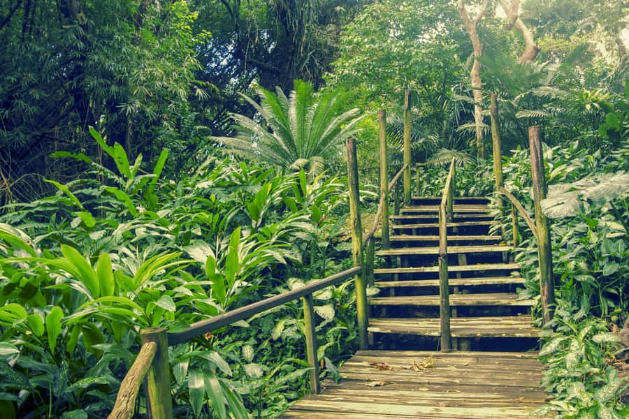 Nadi: Garden Village Hot Spring & Temple Highlights Tour - The Tappoo shopping stop and finding lunch