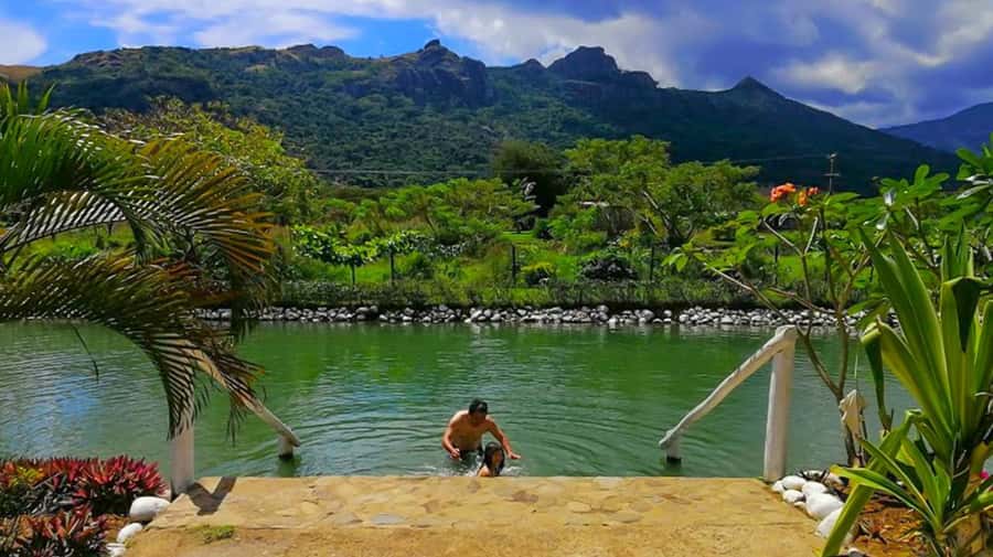 Nadi: Garden Village Hot Spring & Temple Highlights Tour - Seeing produce at Namaka Market