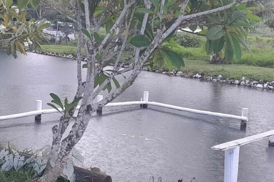 Nadi: Garden Village Hot Spring & Temple Highlights Tour - What the $75 price really buys you
