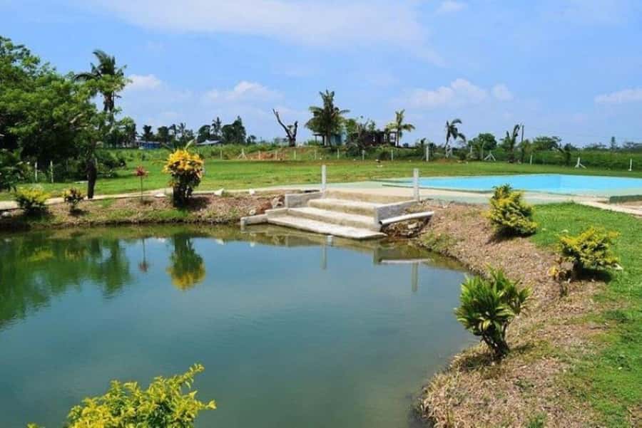 Nadi: Mud Pool and Hot Spring Private Tour - The optional massage and how to judge its value