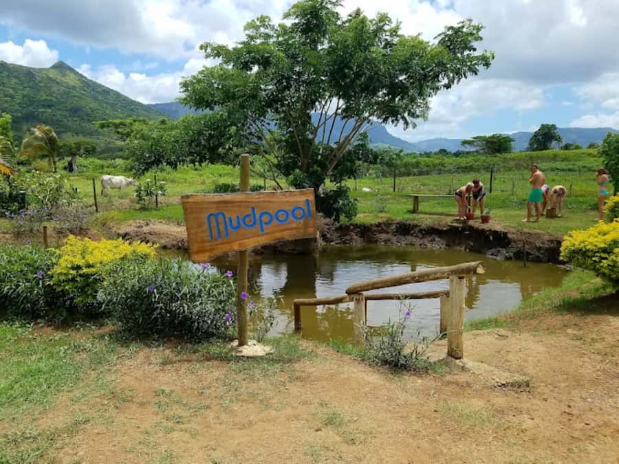Nadi: Mud Pool and Hot Spring Private Tour - Who will enjoy this private tour most