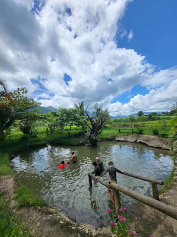 Nadi: Mud Pool and Hot Spring Private Tour - Practical details that affect your day