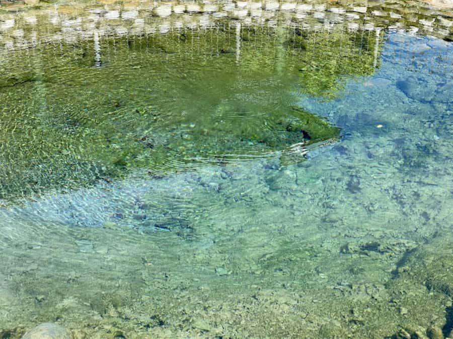 Nadi: Mud Pool and Hot Spring Private Tour - My verdict: book it for a relaxed half-day break