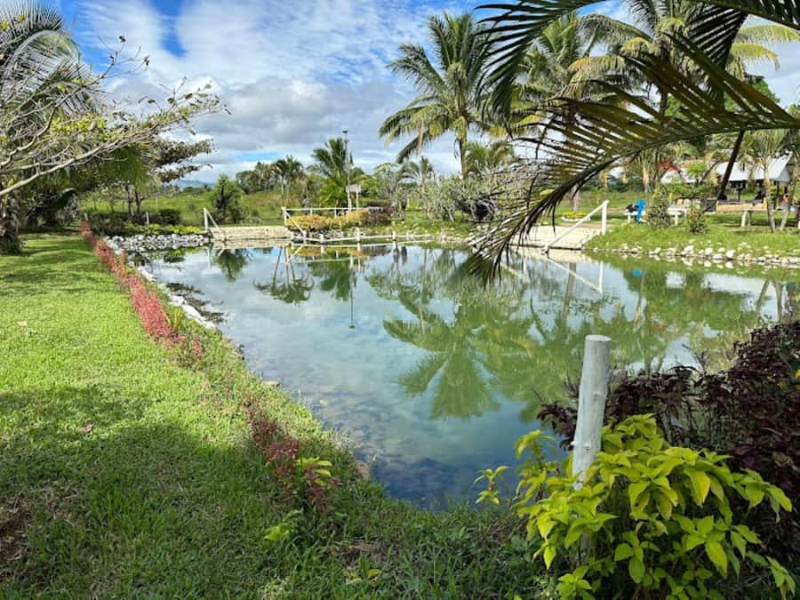 Nadi: Mud Pool and Hot Spring Private Tour - The ride from Nadi, Denarau, Lautoka, or Nasoso