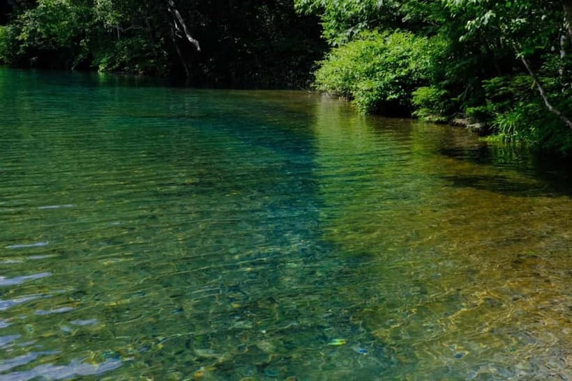 Nagano UNESCO Park: Emerald Acid Lake & Ghibli Onsen Town - Key points to know before booking