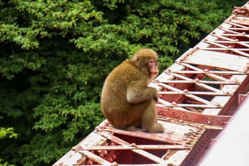 Nagano UNESCO Park: Emerald Acid Lake & Ghibli Onsen Town - Is $190 good value for nine hours?