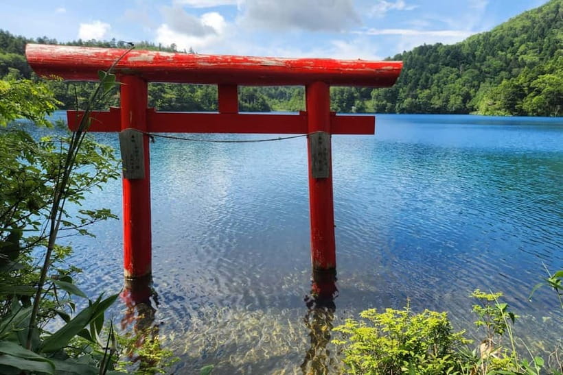 Nagano UNESCO Park: Emerald Acid Lake & Ghibli Onsen Town - Final verdict: book it for flexibility, not certainty