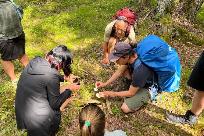 National Park Hike & Finnish Smoke Sauna Experience with Campfire Lunch - Who should book this outing?