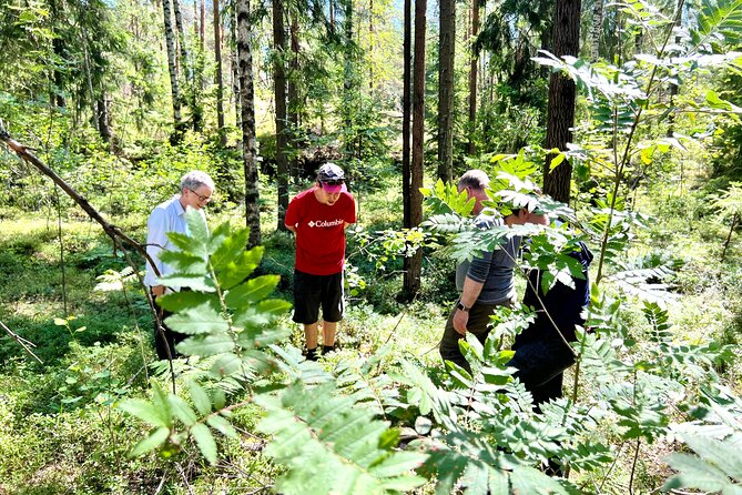 National Park Hike & Finnish Smoke Sauna Experience with Campfire Lunch - What to bring and how to prepare