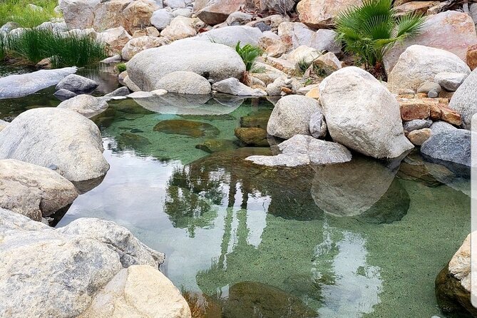 Natural Hot Springs Experience - Lunch at a family restaurant after the springs