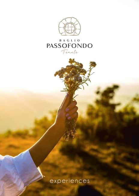 Nature and relaxation by the pool at Baglio Passofondo Estates - The quietest part of a Sicily itinerary