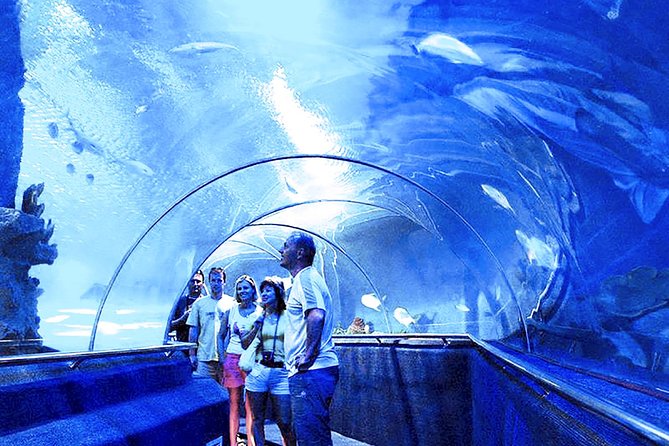 Nha Trang : Enjoy Your Best Of Nha Trang City & Relax In Spa - The Oceanographic Institute and Nha Trang’s marine side