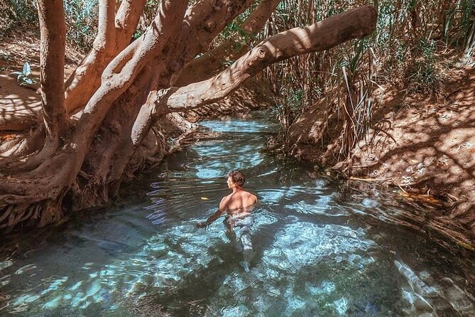 Nitmiluk National Park & Katherine Hot Springs - Full Day Tour - Access, comfort, and the rock crossing