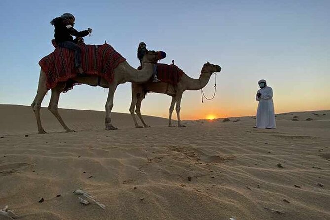 No Rush Desert Safari: 6-Hour Adventure & Inland Sea Relaxation - Who will enjoy this half-day safari