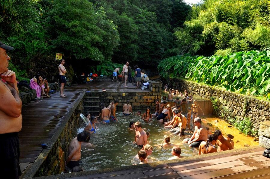 Nordeste: Waterfall, Hot Spring and Viewpoints Full-Day Tour - Terra Nostra Park: garden or thermal pool?