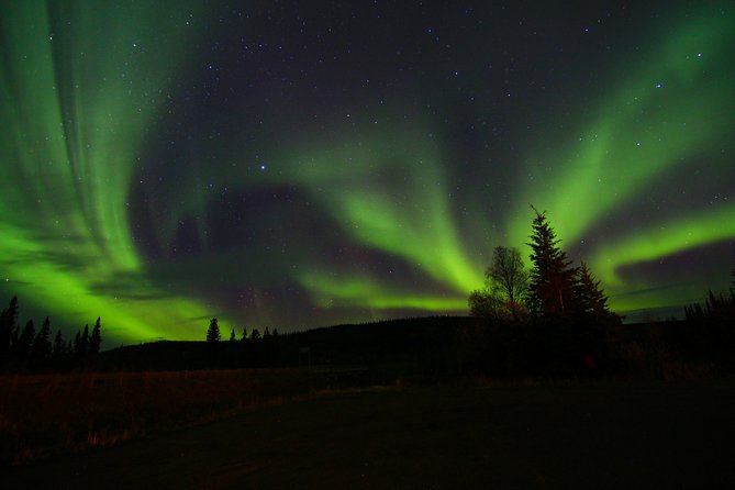 Northern Lights and Chena Hot Springs Night Tour from Fairbanks - Dinner is not included, and timing matters