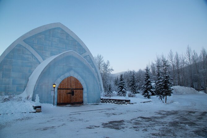 Northern Lights and Chena Hot Springs Night Tour from Fairbanks - Waiting for the northern lights