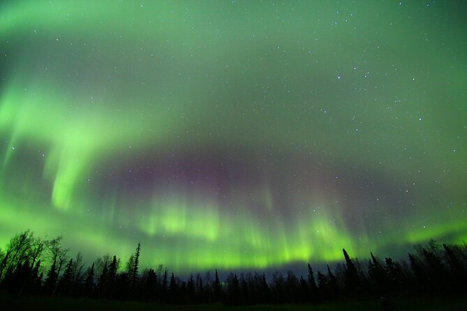 Northern Lights and Chena Hot Springs Night Tour from Fairbanks - The return to Fairbanks