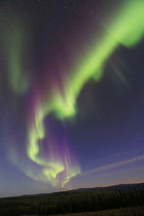 Northern Lights and Chena Hot Springs Night Tour from Fairbanks - Is $240 a fair price?