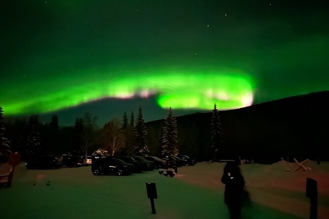 Northern Lights at Chena Hot Springs - Who will enjoy this most?
