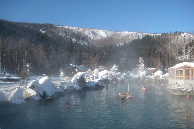 Northern Lights & Chena Hot Springs Tour - How to get the best value from $250