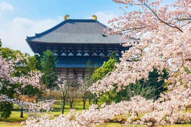Osaka: Nara, Todaiji, Uji Matcha, and Hot Spring Tour - Why this Osaka day trip works