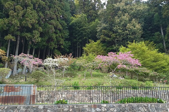 Osaka River Rapids Hike and Natural Hot Spring tour - How much value does the $49.43 price offer?