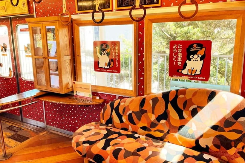 Osaka: Wakayama Cat Train, Seafood market, Hot Springs Tour - Key points to know before booking