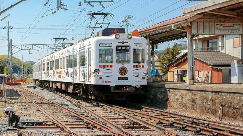 Osaka: Wakayama Cat Train, Seafood market, Hot Springs Tour - Why this Osaka day trip works