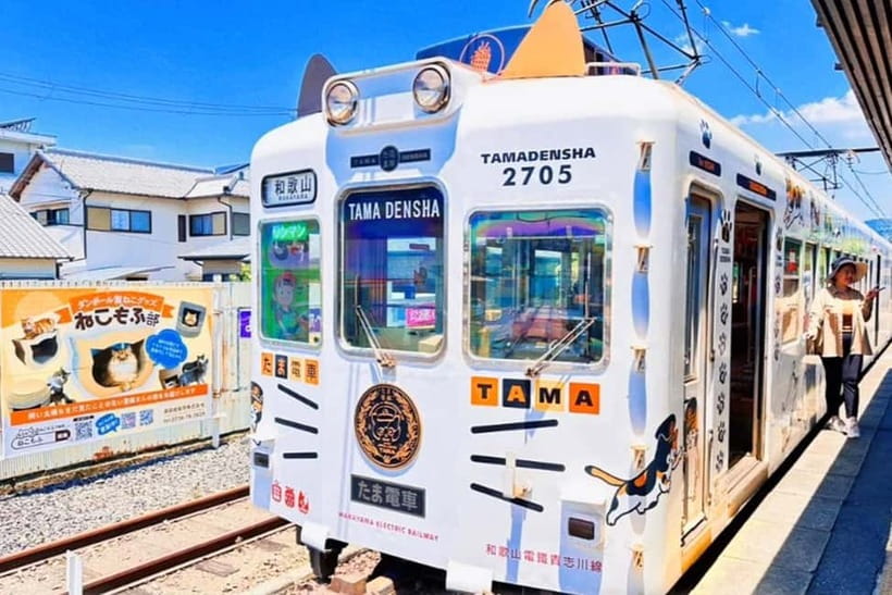Osaka: Wakayama Cat Train, Seafood market, Hot Springs Tour - Choosing the right cat train