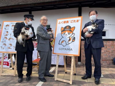 Wakayama Cat Train, Seafood market, Hot Springs Tour