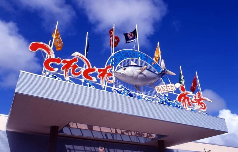 Osaka: Wakayama Cat Train, Seafood market, Hot Springs Tour - Senjojiki’s broad Pacific views