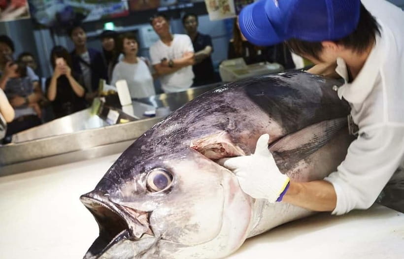 Osaka: Wakayama Cat Train, Seafood market, Hot Springs Tour - Transport, timing, and comfort