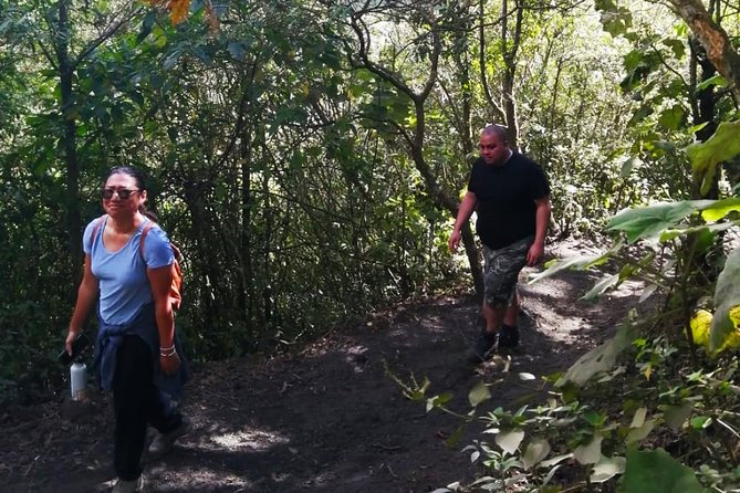 Pacaya Volcano Tour and Hot Springs from Guatemala City - A volcano day that ends in warm water