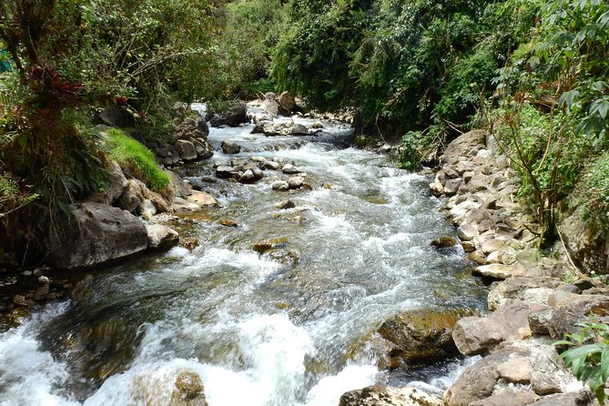 Papallacta Hot Springs & Guango Birding Reserve Private Tour - Antisana Ecological Reserve and its wildlife value
