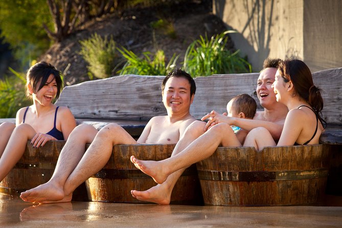 Peninsula Hot Springs Day Trip with Bathing Entry from Melbourne - The pools, saunas, and thermal features
