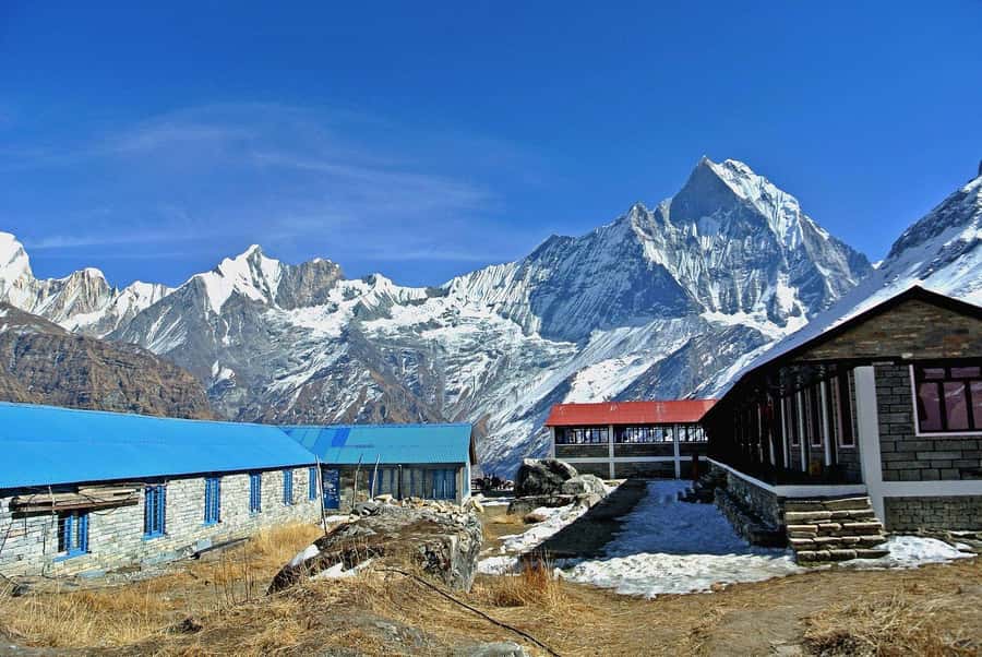 Pokhara: 5 Day Annapurna Base Camp Trek & Natural Hot Spring - Day 2: Lower Sinuwa to Deurali at 3,200 meters
