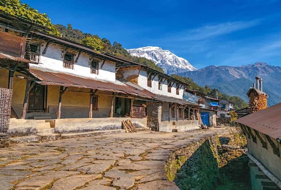 Pokhara: 5 Day Annapurna Base Camp Trek & Natural Hot Spring - Day 4: A morning at base camp, then down to Bamboo