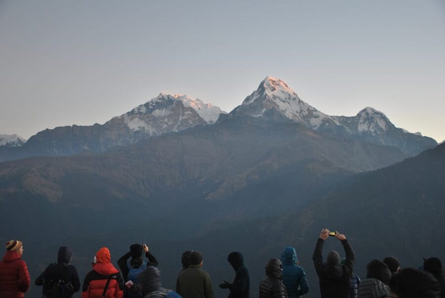 Pokhara: 7-Day Annapurna Base Camp Via PoonHill & Hot Spring - Day Four: Sinuwa to Deurali Through Bamboo and Rhododendron