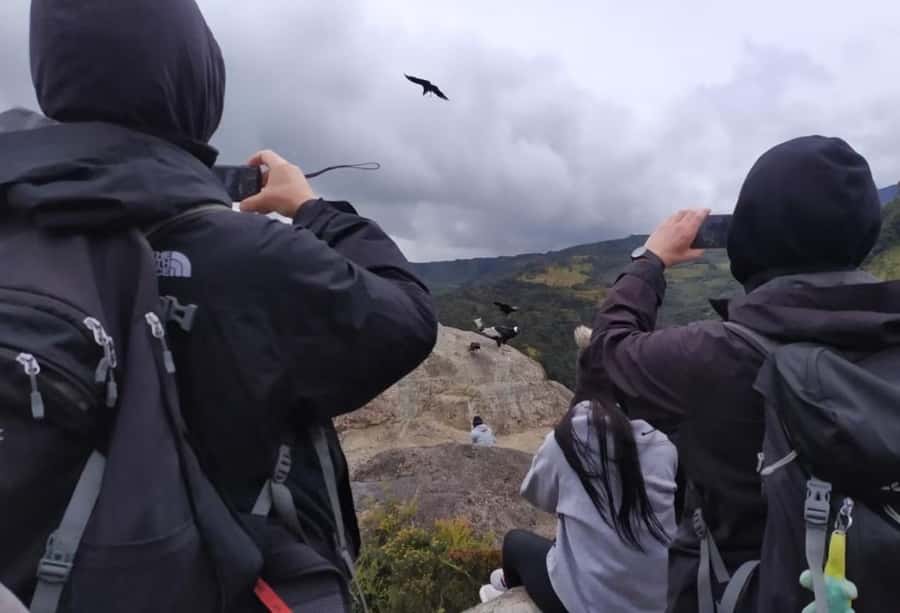 Popayan: Condor Watching in Purace + San Juan Hot Springs - Why this Puracé day is more than a bird-watching trip