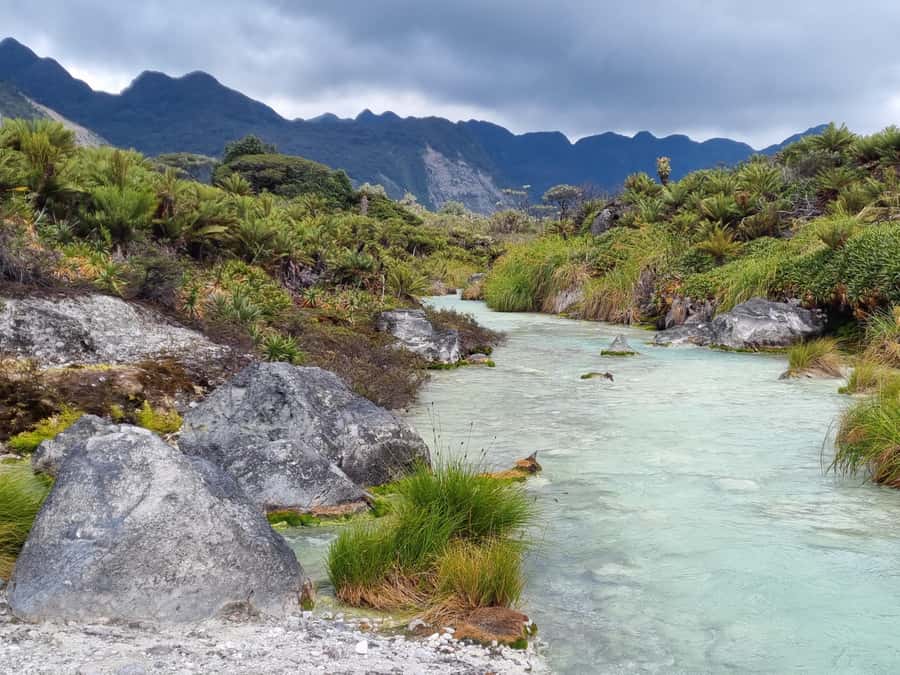 Popayan: Condor Watching in Purace + San Juan Hot Springs - Is $119 a fair price?