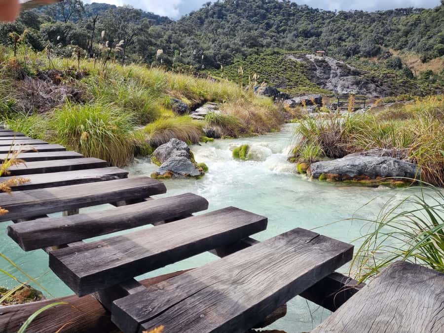 Popayan: Condor Watching in Purace + San Juan Hot Springs - Physical comfort, weather, and practical limits