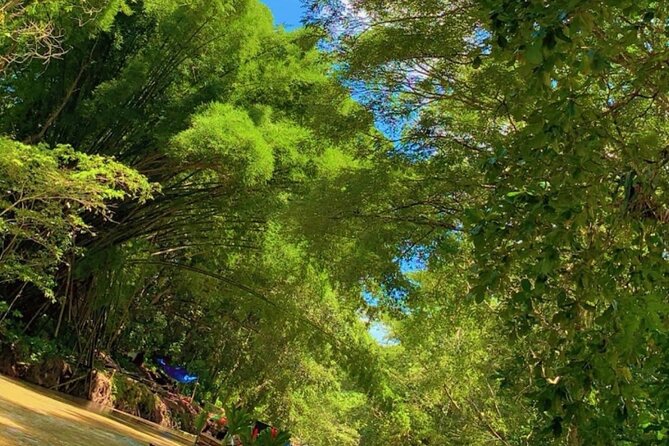 Private Bamboo River Rafting & Foot Massage from Montego Bay - Booking timing, drinks, and cancellation