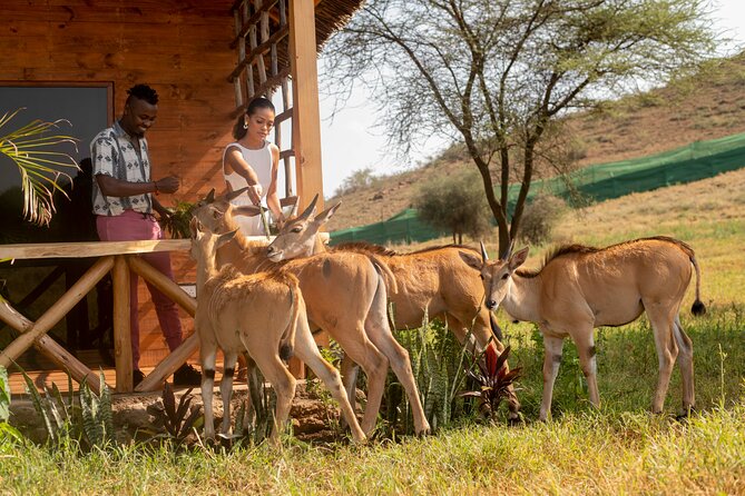 Private Day Tour in Serval Wildlife and Kikuletwa Hot Spring - Key points to know before booking