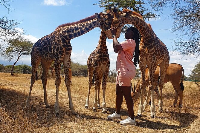 Private Day Tour in Serval Wildlife and Kikuletwa Hot Spring - Serval Wildlife gives you time with animals on their terms