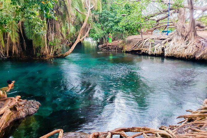 Private Day Tour in Serval Wildlife and Kikuletwa Hot Spring - Practical details that can affect your decision